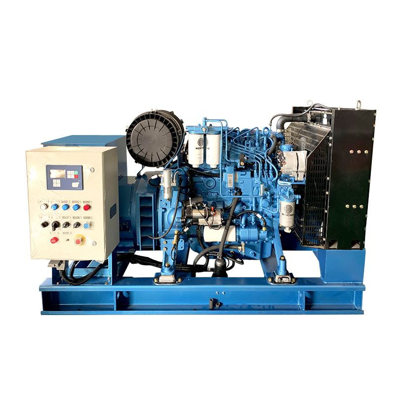 Diesel Fuel Systems Generator Set