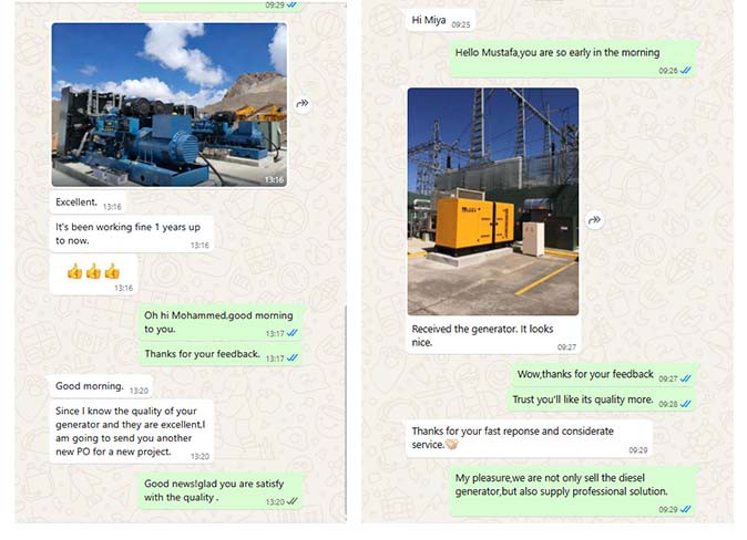 Diesel generator set Diesel generator set